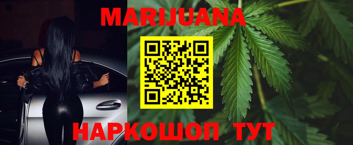 Канабис планчик  Канабис сатива  Вход с VPN  Тара  Каннабис марихуана 